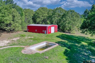 10698 County Road 2222, Arp, TX 75750 - photo 3