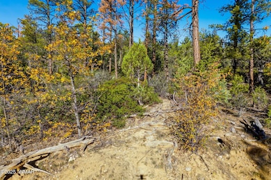 1920SPleasantviewDr-ShowLowAZ-14