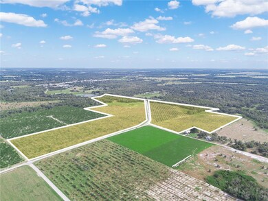 2485 S Florida Ave, Wauchula, FL 33873 - photo 6