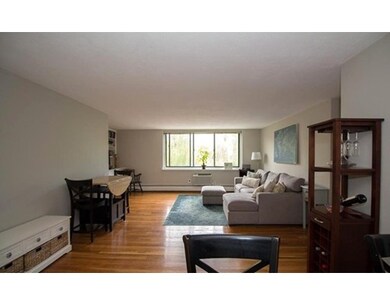 519 Washington St unit 14, Brookline, MA 02446 - photo 7