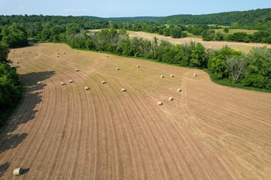 DJI_0052