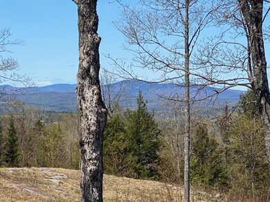 0 Gray Rd, Sangerville, ME 04479 - photo 4