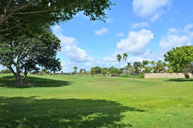 Part of Back Yard Facing West