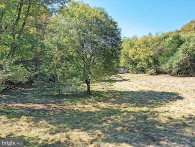 TBD Funk Rd, Strasburg, VA 22657 - photo 5