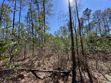 TBD 11.7 Wilderness Ln, Loris, SC 29569 - photo 2