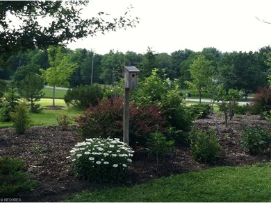 Vibrant landscaping