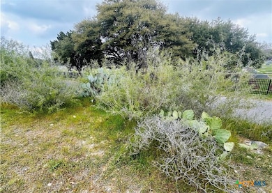 440 Peace Ave, New Braunfels, TX 78130 - photo 7