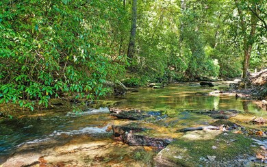 312 Learh Ln, Ellijay, GA 30540 - photo 3