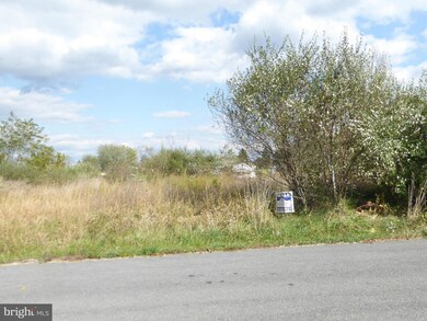 3 Sassafras Ln, Wardensville, WV 26851 - photo 3