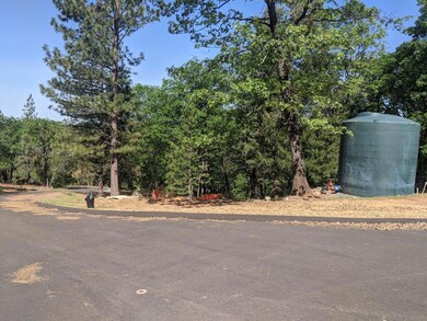 2 Eden Forest Dr, Colfax, CA 95713 - photo 5