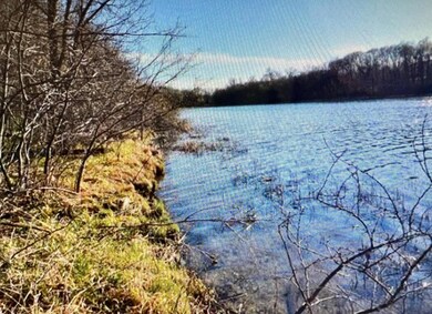 Lot 3 Country Ln SW, Holmes City Township, MN 56327 - photo 6