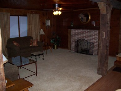 wood burning fireplace