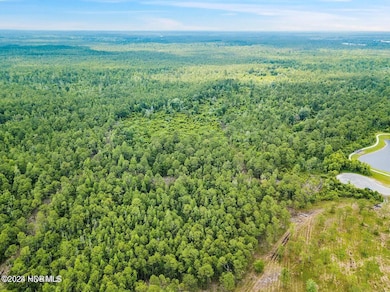 372 Greenview Ranch, Wilmington, NC 28411 - photo 4