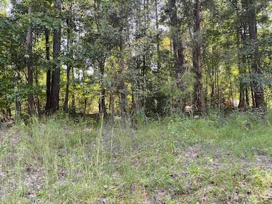 0 Lakewood Way NE unit 621 20146202, Conyers, GA 30012 - photo 2