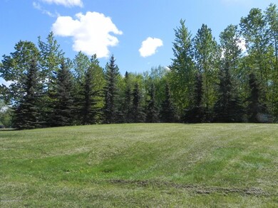 View Of Your Front Yard