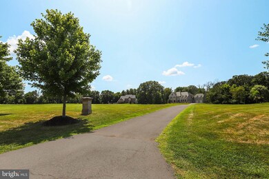 16749 Chestnut Overlook Dr, Purcellville, VA 20132 - photo 7