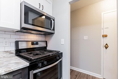 3901 Lyndhurst Dr unit 303, Fairfax, VA 22031 - photo 4