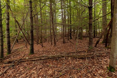 _DSC2270-Edit