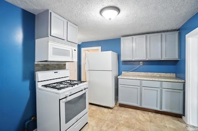 106 Mulberry St, Columbia City, IN 46725 - photo 5