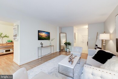 2045 Royal Fern Ct unit 12B, Reston, VA 20191 - photo 6