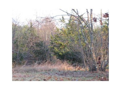 Land/Lot. View of Lot from Lynn Drive