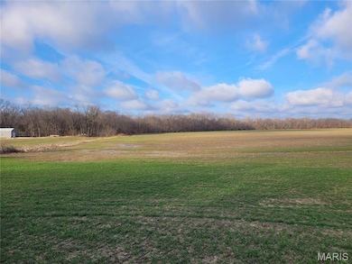 0 Bales Rd (81 8+ - Acres), Middletown, MO 63359 - photo 2