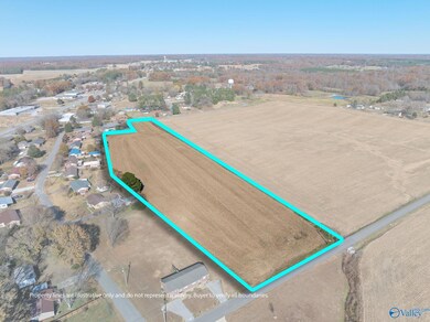 205 Dixon Branch Rd, Loretto, TN 38469 - photo 7