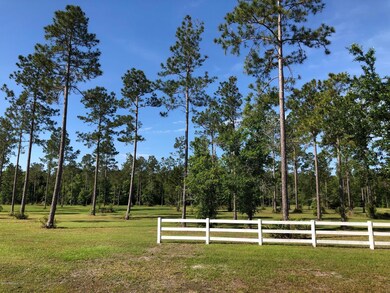 145 Ashton Oaks Dr, Saint Augustine, FL 32092 - photo 2