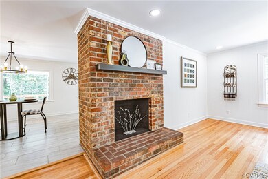 Wood-burning fireplace