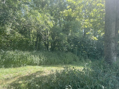 9127 Indiana 56, Vevay, IN 47043 - photo 4