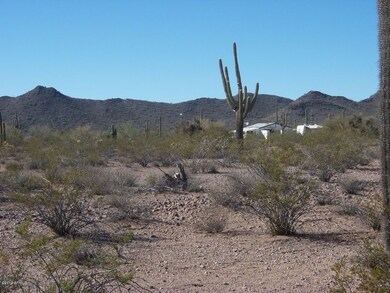 Neighbors House