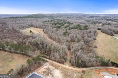 34.61 ACRES Walker Rd, Meansville, GA 30256 - photo 4