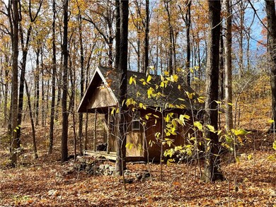 10013 Bunyard Rd, Winslow, AR 72959 - photo 6