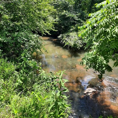 LOT 195 Shenendoa Dr, Ellijay, GA 30540 - photo 4