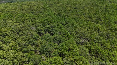 0 SE 1016th Ave, Wilburton, OK 74578 - photo 6