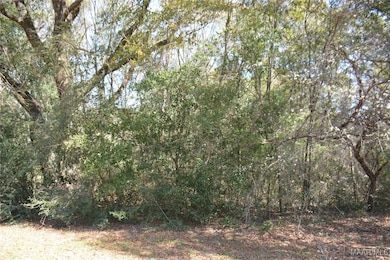 Lot 1 & 2 Blk G Oak Lake Dr, Level Plains, AL 36330 - photo 4