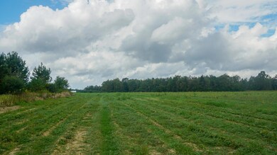 20 Ac Hwy 63 - S, Lucedale, MS 39452 - photo 3