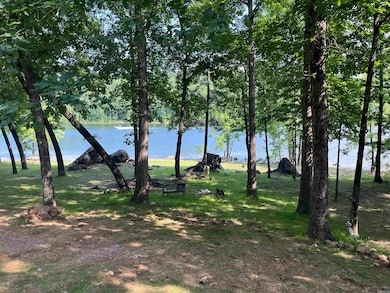 352 Weldon Rd, Edgemont, AR 72044 - photo 4