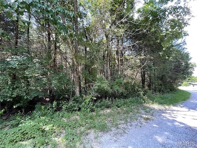 0 Red Bud unit MIS25053128, Catawissa, MO 63015 - photo 3