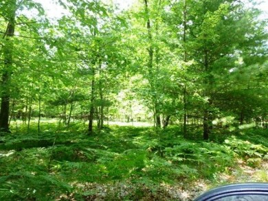 2750 W 14 Mile Rd unit Parcel C, Lilley Township, MI 49309 - photo 4