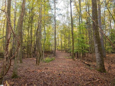 00 Dice Miller Rd, Moore, SC 29369 - photo 7