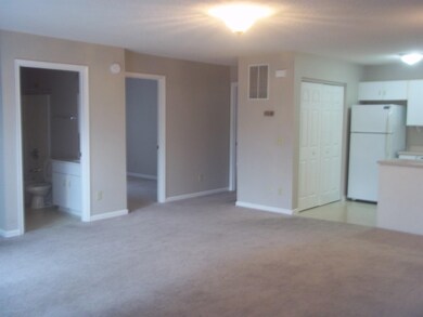 1129 Robin Hood Ct unit 304, Harrisonburg, VA 22801 - photo 2