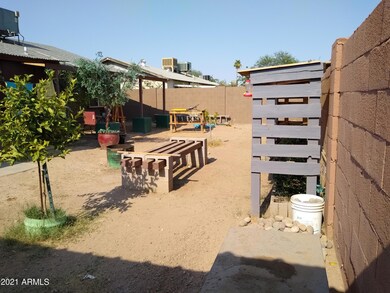 Backyard 2