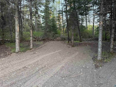 View of dirt / gravel road with a view of trees