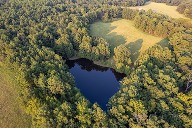 3168 Fm 3056, Hawkins, TX 75765 - photo 6