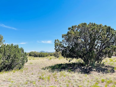 2074 W Critter Pass, Williams, AZ 86046 - photo 6