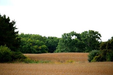 20 AC Whalen Rd, Madison, WI 53711 - photo 3