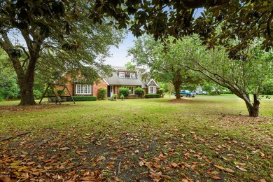 tree shaded lot