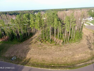 DJI_0036