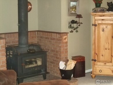 Wood-burning Stove in Living Room